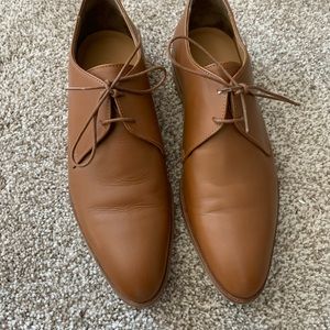 Everlane The Modern Oxford Cognac